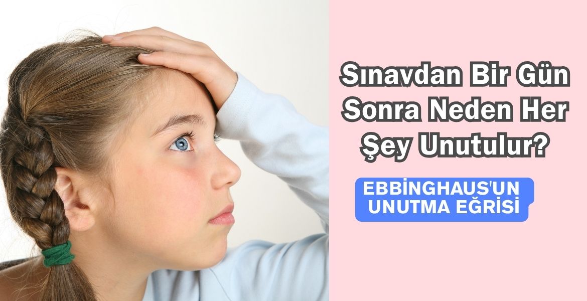 Sınavdan Bir Gün Sonra Neden Her Şey Unutulur?
